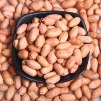 Raw Peanut
