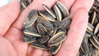 High Quality Sunflower Seeds