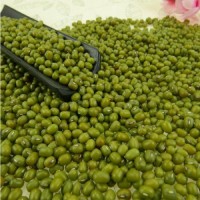 Best Quality Green Mung Beans Available