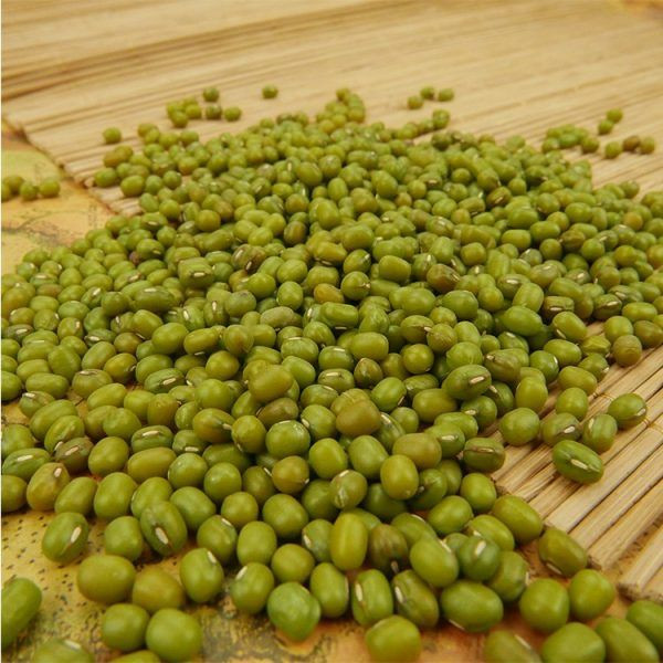 Best Quality Green Mung Beans Available