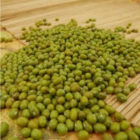 Best Quality Green Mung Beans Available