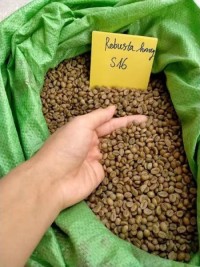 High Quality Robusta Green Coffee Beans