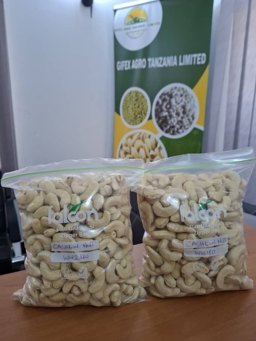 Processed Cashew Nut