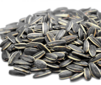 High Quality Sunflower Seeds